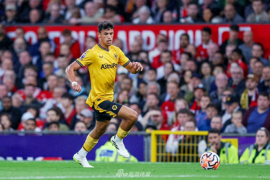 迷并非孤例 迷并非孤例